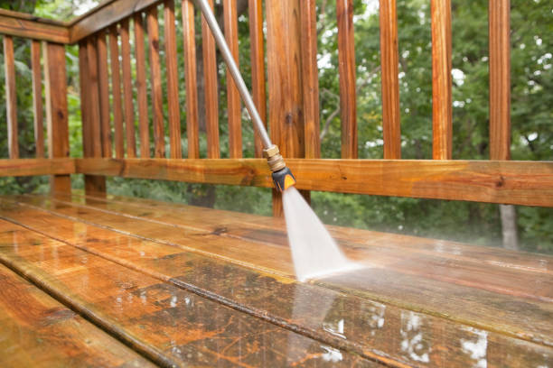 Best Pre-Holiday Cleaning  in Claxton, GA